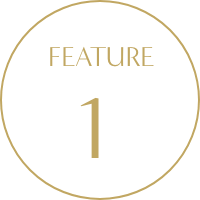 FEATURE 1