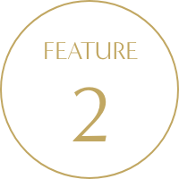 FEATURE 2