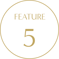 FEATURE 5