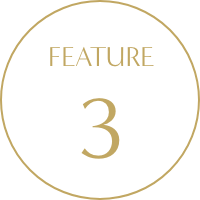 FEATURE 3